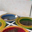 무안낙지 이미지