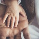 버들초등학교 병설유치원 이미지