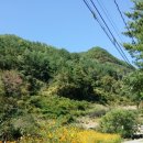 덕우목장 이미지