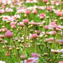 제성한의원 이미지