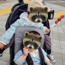 잼또