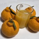 효동농장 | 요즘 제일 잘 먹는 제주감귤, 제주향기효동이네감귤 언박싱 후기