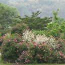 순천문학관 이미지