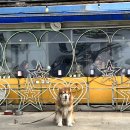 대하카서비스 이미지