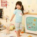 데이클로 이미지