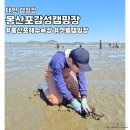 몽산포패밀리데이캠핑장 | 태안 몽산포감성캠핑장 갯벌체험 조개캐기 가능한 캠핑장 후기 (Feat.어린이날이벤트)