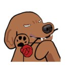 개편한 애견미용 이미지