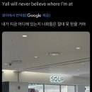 브랜드밈