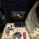 11500-19-39-112 | 대전 당일치기 여행 🥪 ☕️ (성심당, 해마의방, 김화칼국수, 소품샵투어, 대전근현대전시관)