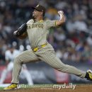 홈런 코리아 이미지