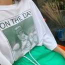 도그시티 이미지