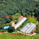 최인모공인중개사사무소 이미지