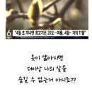 성환몸짱스쿨