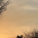 매곡근린공원 이미지