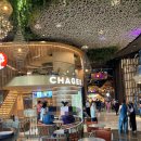 시암아시아 | 태국 방콕 아이콘시암 여행 후기: 쇼핑·맛집·뷰까지 한 번에 즐기는 방법