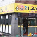 천년오리 이미지