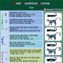 와이즈 동물병원 이미지