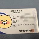 대한적십자사 | 대한적십자사 라이프가드 합격 후기(25-1기)