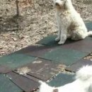 남양펜션 이미지