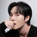 와이원 뉴스엔