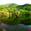 주산지 Daum카페