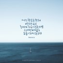 경희대중앙태권도 이미지