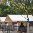 제이 앤 제이 애견 이미지