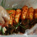 김치 특강 이미지