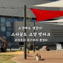 스타파크 | 고양에도 생겼다! 스타필드 고양 펫파크 위치부터 후기까지 총정리