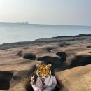 사계식당 이미지