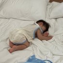 하귤소담 이미지