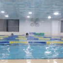 음파음파 수영장 이미지