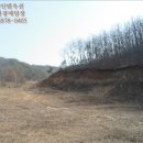 영동목장 네이버블로그