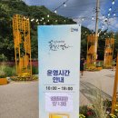 국화애견하우스 | 인제 가을꽃축제 2025 기간·장소·가는길·기본정보·프로그램·입장료 총정리