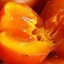 해동 농장 이미지