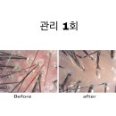 클레르두피케어센터 이미지