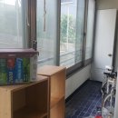 양덕초등학교 이미지