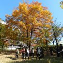 충훈공원