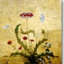 신사임당 이미지