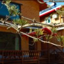 큰솔펜션 이미지