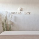 펄베이풀빌라 이미지