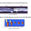 (주)온누리유통 네이버블로그