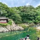 매천초등학교 정문 앞 이미지