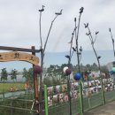 초대1리 이미지