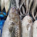 오정농수산물 도매시장 이미지