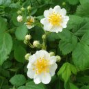 우성행정사사무소 이미지