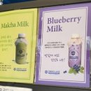 트렌타쥬스 이미지