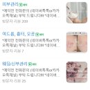 에멜리아(EMELIA)