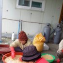 신평마을 이미지