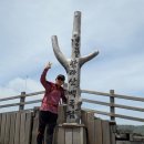 서호동-54 이미지